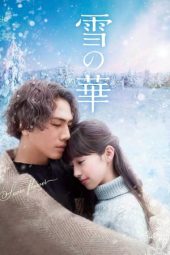 Snow Flower (2019)