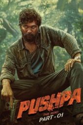 Pushpa: The Rise (2021)