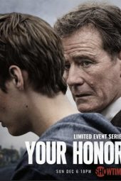 Your Honor Season 1 (2020)