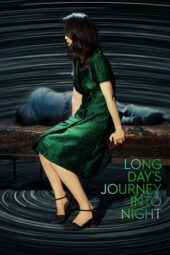 Long Day's Journey into Night (2018)